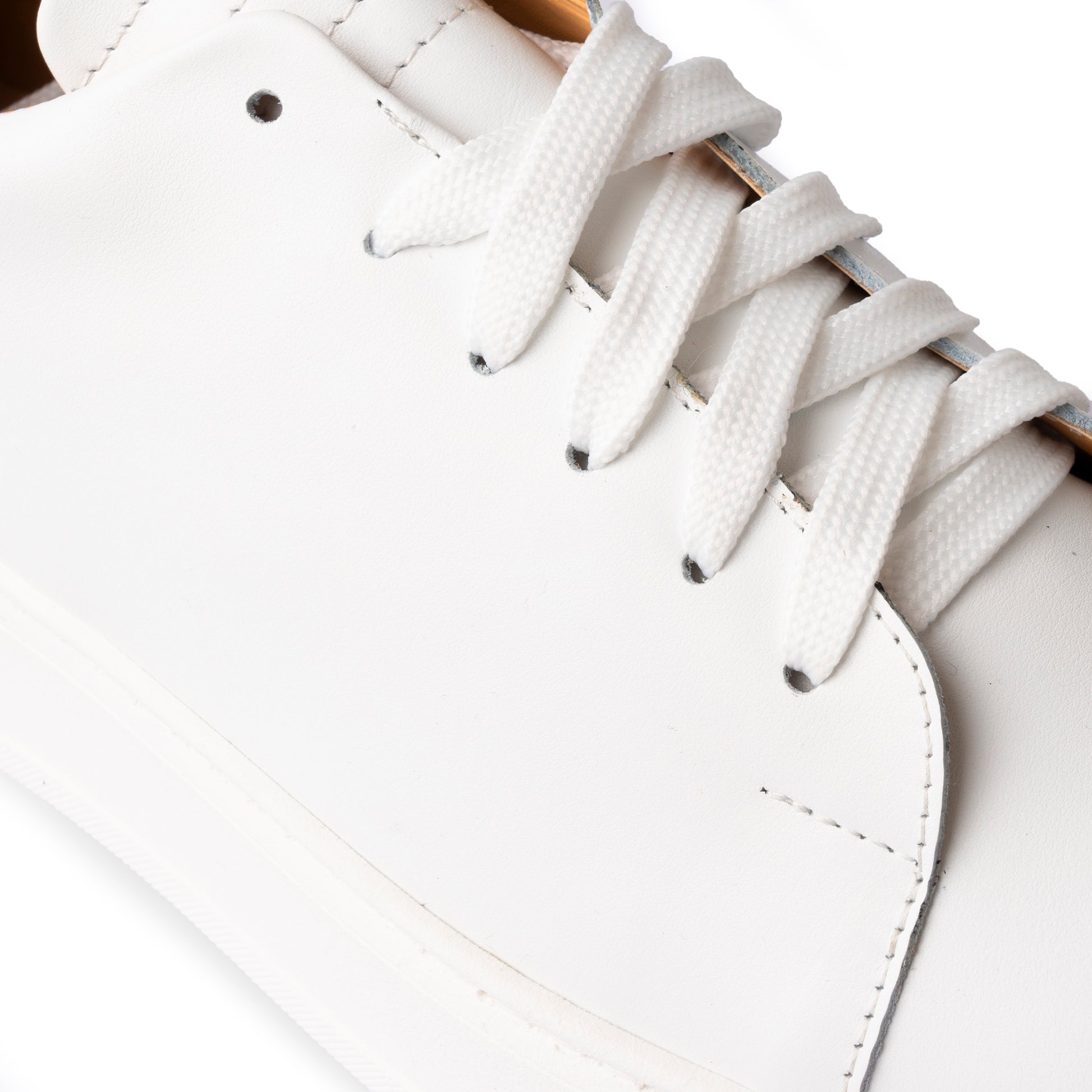 #colore_bianco
