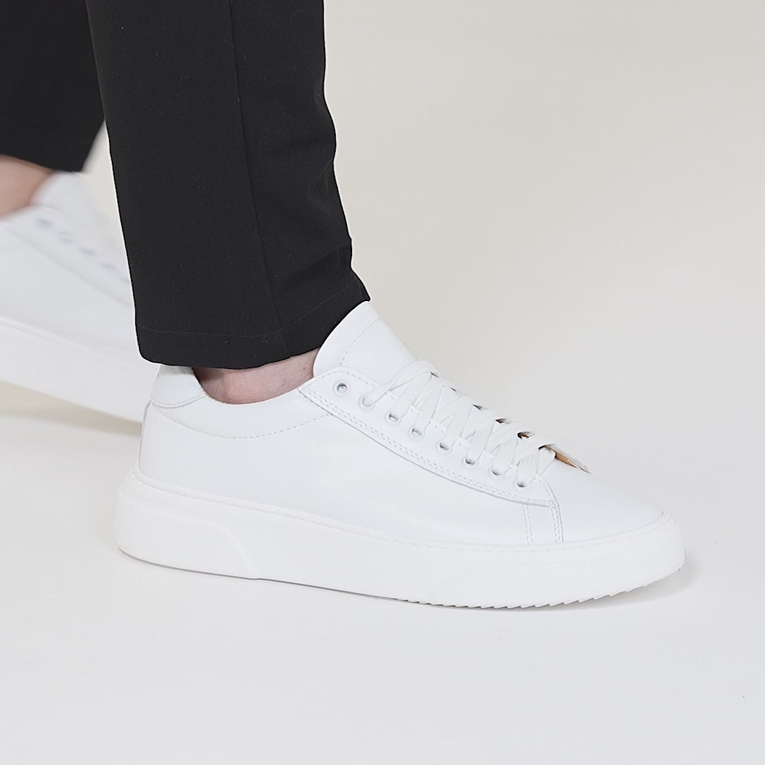 #colore_bianco